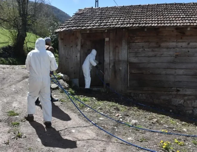 Bursa'da 3 mahallenin kabusu oldular: Yok etmek imkansız