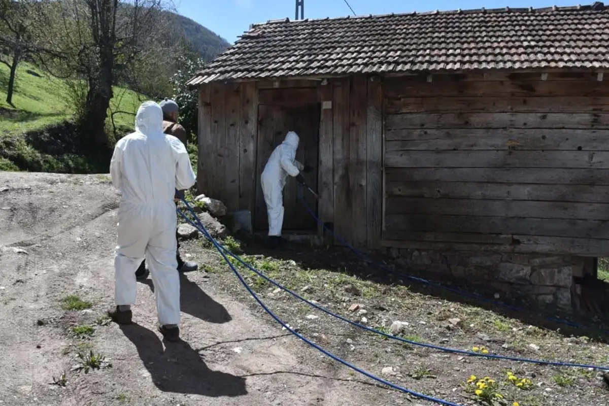Bursa'da 3 mahallenin kabusu oldular: Yok etmek imkansız