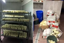 Kaşar peynirde akılalmaz dolandırıcılık! Tonlarca ele geçirildi