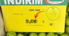 Markette tane ile satılan eriğin fiyatını görenler gözlerine inanamadı
