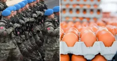 Yumurta ihracatına TSK için yeni düzenleme getirildi