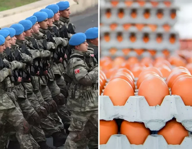 Yumurta ihracatına TSK için yeni düzenleme getirildi