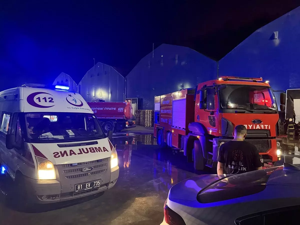 Düzce'deki Otomotiv Fabrikasında Yangın Çıktı