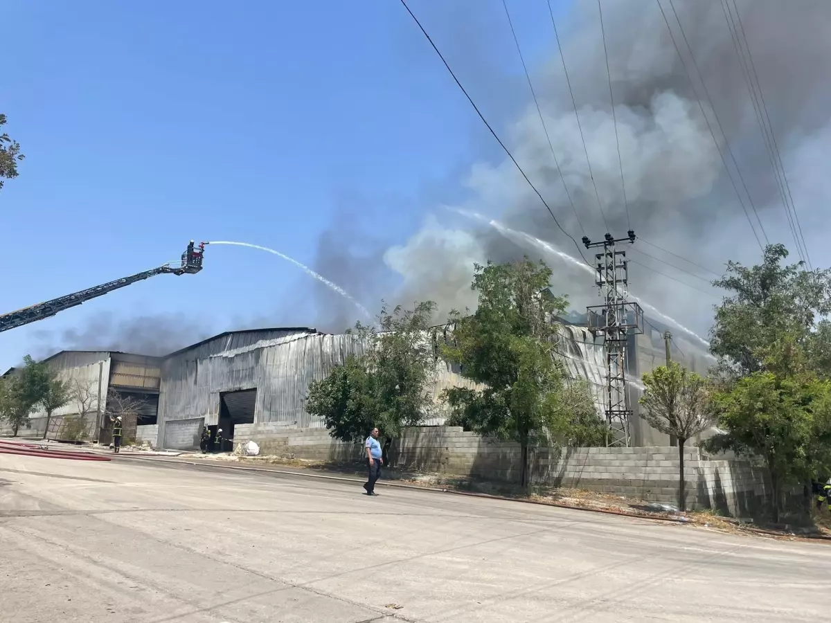 Gaziantep'te Halı Fabrikasında Yangın - Haberler