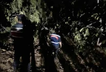 Aydın'da İncir Hırsızlıklarına Karşı Jandarma Önlemleri Artıyor