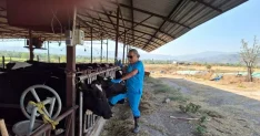 Aydın'da Şap Hastalığı Üzerine Karpuzlu'da Karantina Uygulaması Başlatıldı