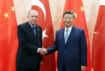 Cumhurbaşkanı Erdoğan, Çin Devlet Başkanı Xi ile görüştü