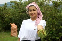 Karadeniz'de Fındık Hasadı Başladı - Haberler
