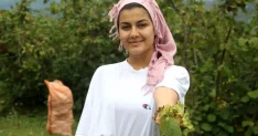 Karadeniz'de Fındık Hasadı Başladı - Haberler