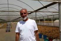 Aydın İncir Üreticileri Birliği Kurma Hazırlığında