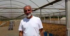 Aydın İncir Üreticileri Birliği Kurma Hazırlığında