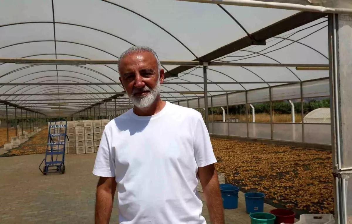 Aydın İncir Üreticileri Birliği Kurma Hazırlığında