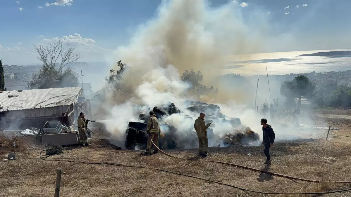 Büyükçekmece'de Ahır Yanında Yangın Çıktı