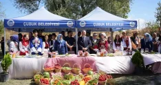 Çubuk Belediye Başkanı Demirbaş'tan Festival Eleştirilerine Yanıt