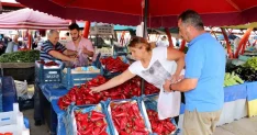 Erzincan'da Salça Yapım Mevsimi Başladı: Domates ve Biber Fiyatları
