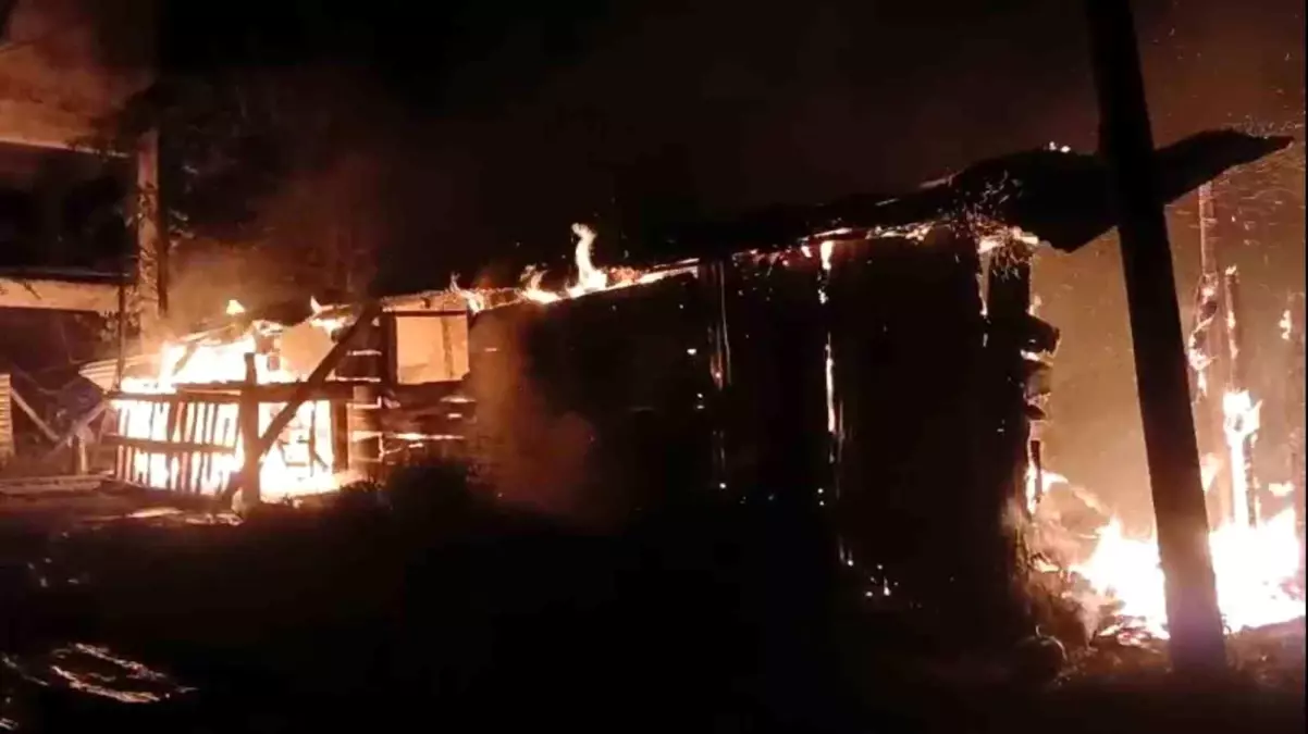 Tirebolu'da Yangın: Bir Ton Fındık Kül Oldu