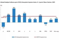 Türkiye Ekonomisi 2025 Yılı 2. Çeyrekte %4,8 Büyüdü