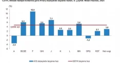 Türkiye Ekonomisi 2025 Yılı 2. Çeyrekte %4,8 Büyüdü