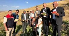 Yüksekova'da Mısır, Karpuz ve Kavun Hasadı Başladı