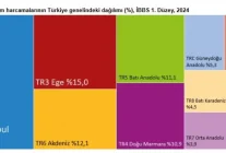 2024'te Hanehalkı Tüketim Harcamalarının Dağılımı Açıklandı
