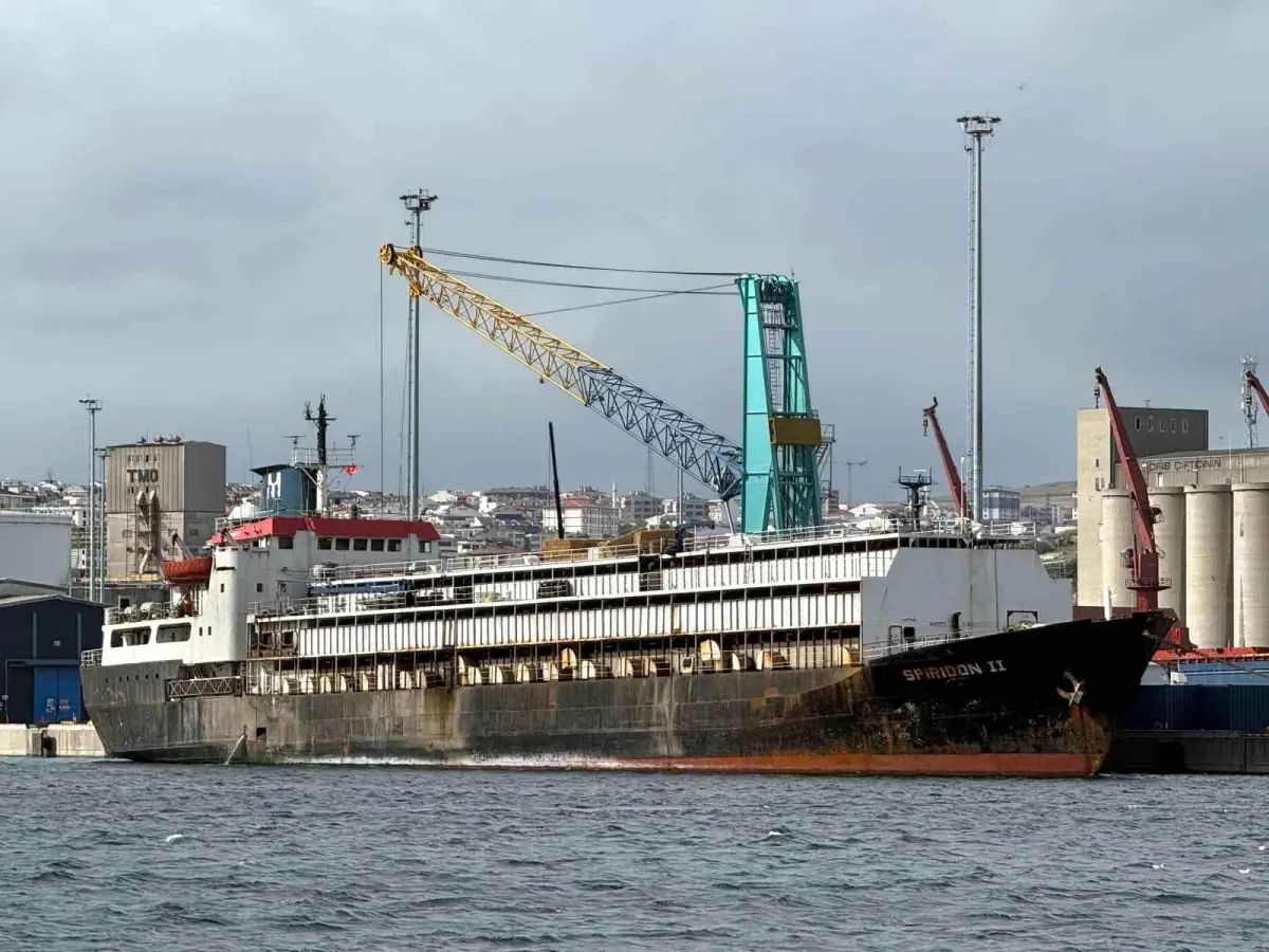 Bandırma'da İthal Büyükbaş Hayvan Gemisi 8 Gündür Limanda Bekliyor