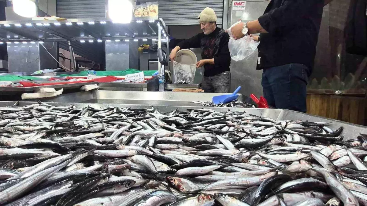 Bartın'da Hamsinin Kilosu 50 TL'ye Düştü