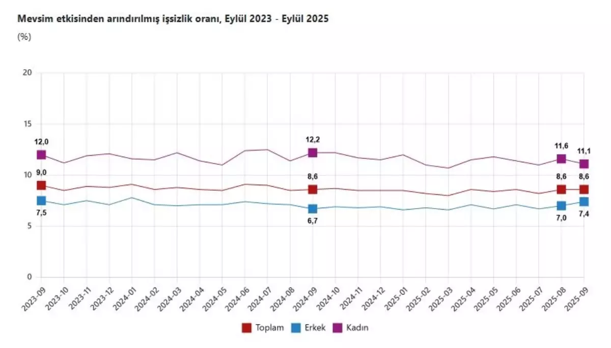 Eylül 2025'te Türkiye'de İşsizlik Oranı %8,6 Seviyesinde Sabit Kaldı