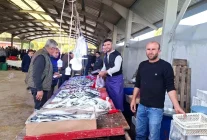 Kütahya Hisarcık'ta Balık Fiyatları Düşüşte: Hamsi ve Sardalya 150 TL'ye Geriledi