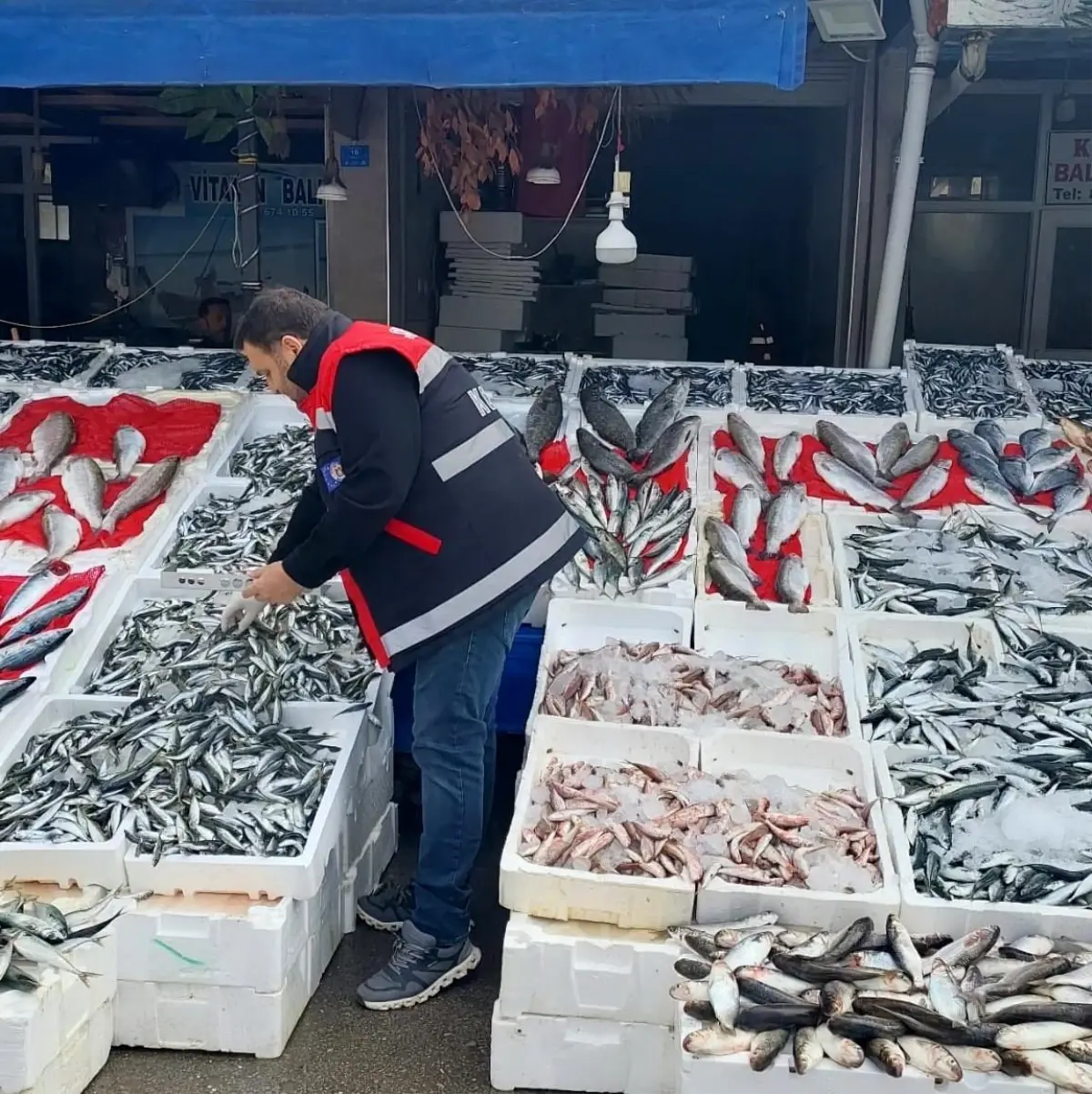 Samsun'da Balıkçı Esnaflarına Denetim Yapıldı