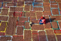 Fındık İhracatında Düşüş ve Fiyat Artışı Beklentisi