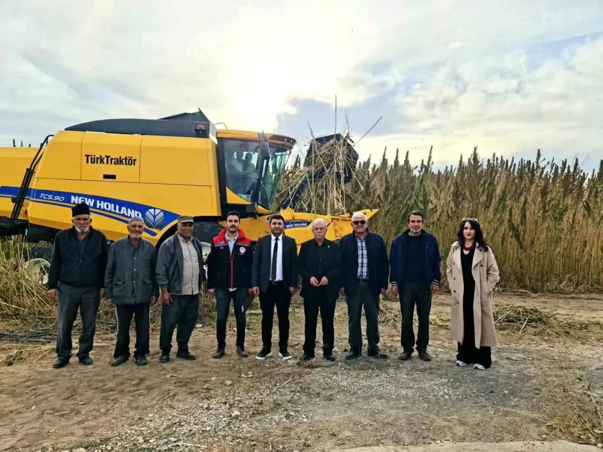 Konya'da Endüstriyel Kenevir Hasadına Başlandı