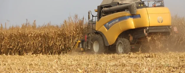 Mardin Ovası'nda Mısır Hasadı Başladı: 2 Milyon Ton Rekolte Bekleniyor