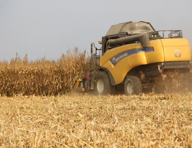 Mardin Ovası'nda Mısır Hasadı Başladı: 2 Milyon Ton Rekolte Bekleniyor