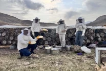 Siirtli Arıcılar, Çemikare Yaylası'nda Son Bal Hasadını Yapıyor