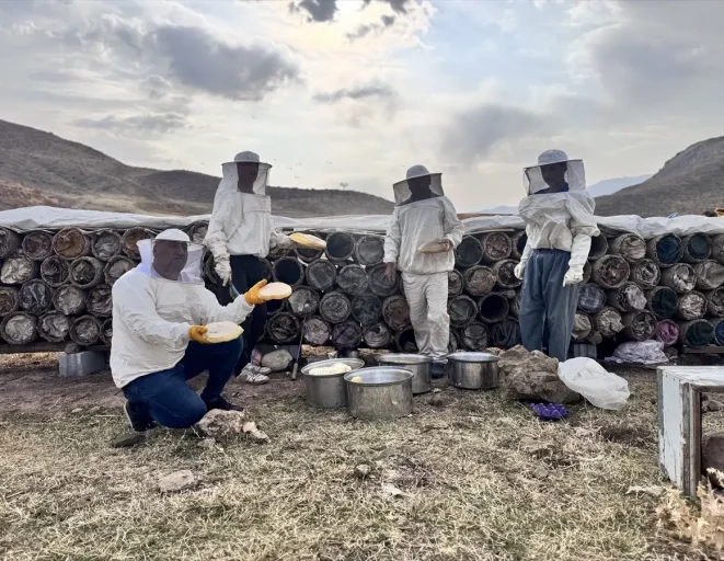 Siirtli Arıcılar, Çemikare Yaylası'nda Son Bal Hasadını Yapıyor