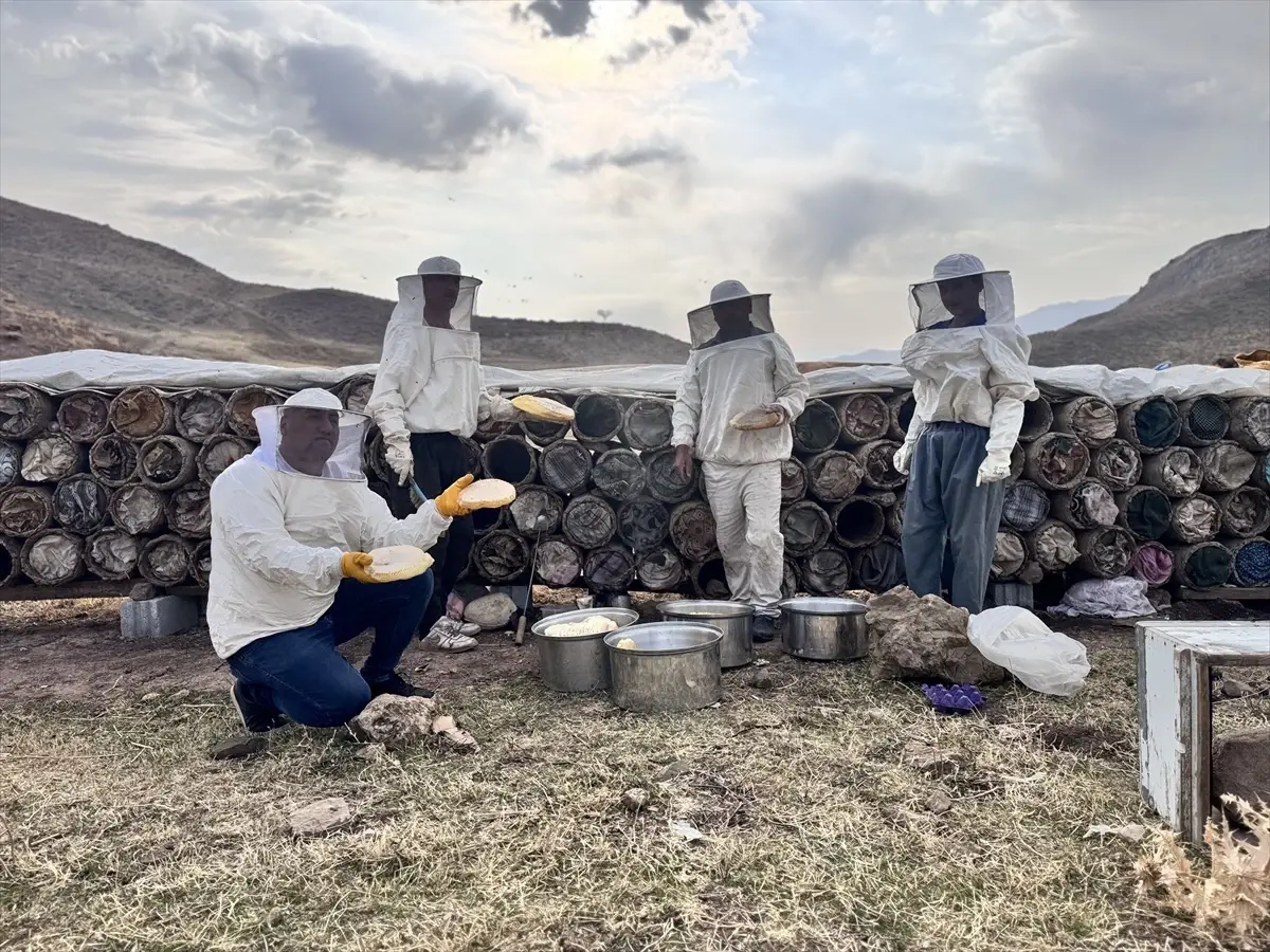 Siirtli Arıcılar, Çemikare Yaylası'nda Son Bal Hasadını Yapıyor