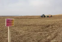 Sivas'ta 5 Farklı Ekmeklik Buğday Çeşidi Toprakla Buluşturuldu