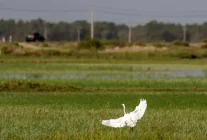 Çin'in Xinjiang Bölgesinde Su Koruma Projelerinin İnşasına 5,6 Milyar Dolar Yatırım Yapıldı