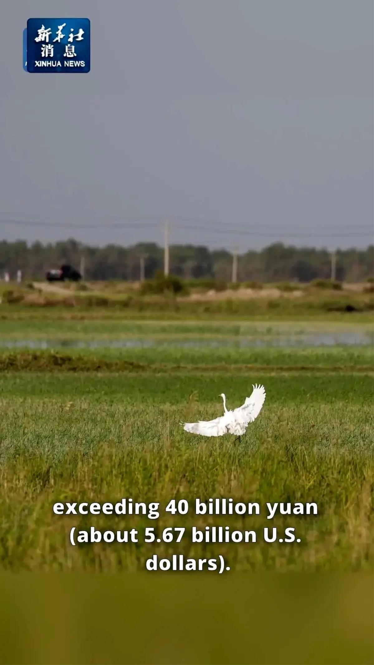 Çin'in Xinjiang Bölgesinde Su Koruma Projelerinin İnşasına 5,6 Milyar Dolar Yatırım Yapıldı