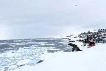 Grönland kime ait, Trump neden adaya ilgi gösteriyor ?