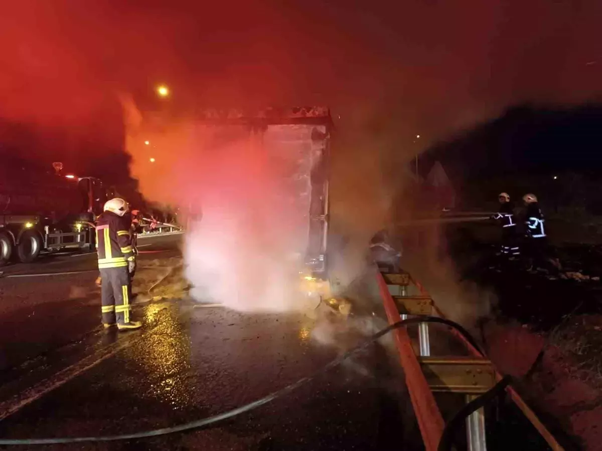 Şanlıurfa'da beyaz eşya yüklü tır alev alev yandı