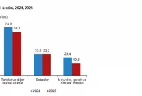 TÜİK: Bitkisel üretim miktarları 2025'te azaldı
