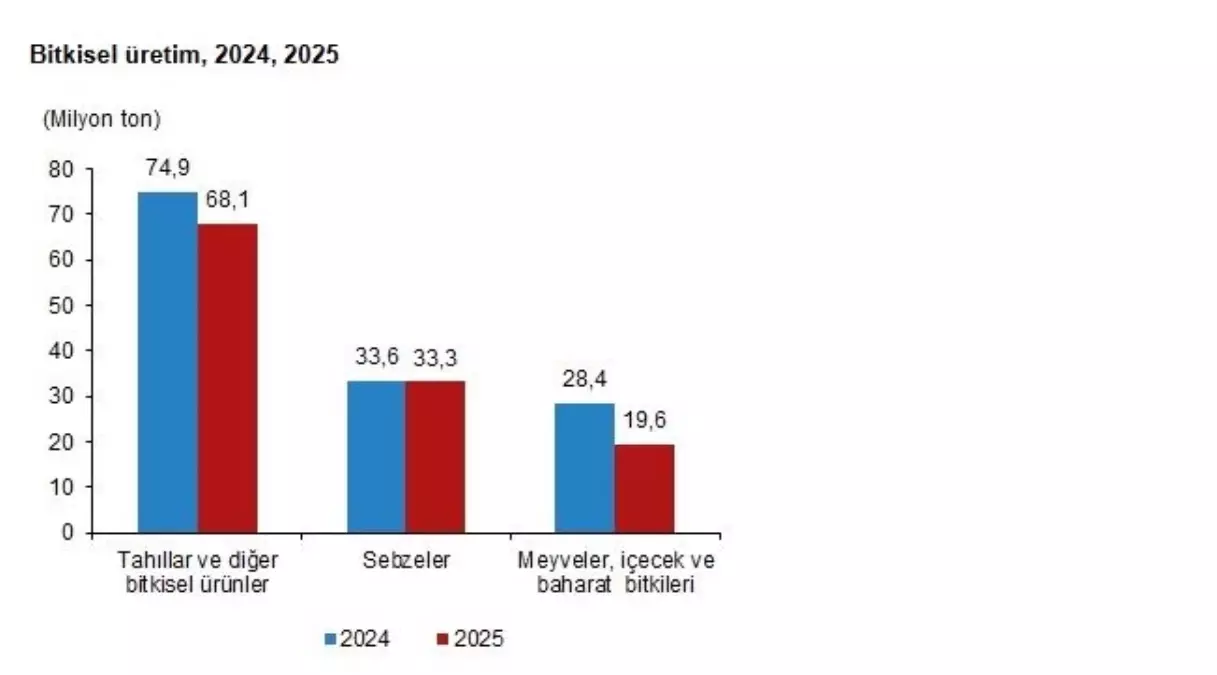 TÜİK: Bitkisel üretim miktarları 2025'te azaldı