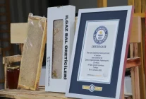Ilgaz'da satılan bal dünyanın en pahalı balı olarak Guinness Rekorlar Kitabı'na girdi