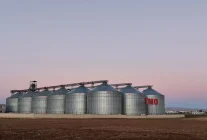 Mardin'de 9 kişinin tutuklandığı 137 bin tonluk buğday vurgununda depolar TMO'ya devredildi