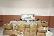 Van'da bin 410 adet epidotlu kuvars taşı ele geçirildi