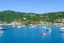 Virgin Adaları: Danimarka 100 yıl önce bu takım adaları neden ABD'ye sattı?