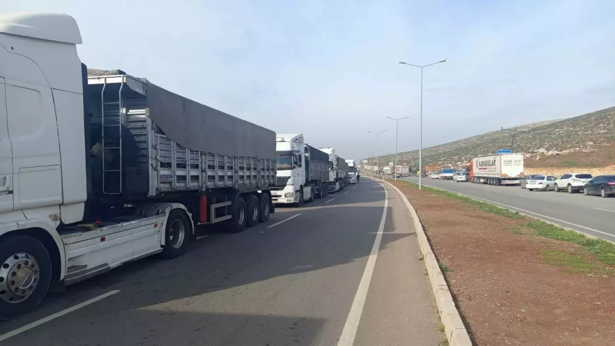 Cilvegözü'nden Suriye'ye bir yılda 200 milyon dolarlık ihracat gerçekleşti