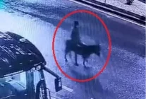 Forkliftle kuyumcu soyup eşekle kaçan şüpheli: Yaşadığım maddi sıkıntılar aklıma geldi