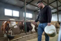 Yem desteği Bayburtlu çiftçinin yüzünü güldürdü: "Bu destek bize iyi geldi"